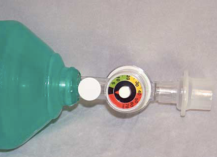 Airflow™ Manual Resuscitators BVM, Small Adult
